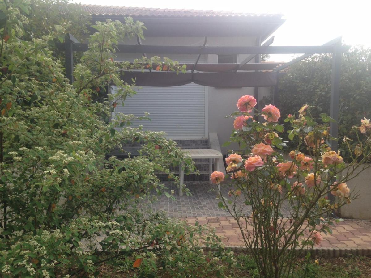 Cavone 2 Apartment Castellare-di-Casinca ภายนอก รูปภาพ